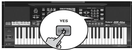 ROLAND EXR-46OR - FORMAT - 2