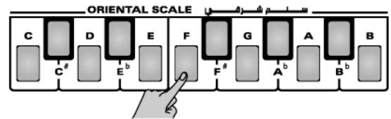 ROLAND EXR-46OR - SCALE MEMORY - 2