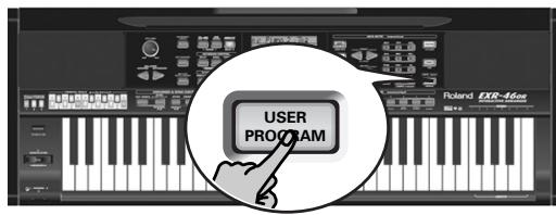 ROLAND EXR-46OR - Enregistrer les réglages dans un programme utilisé - 1