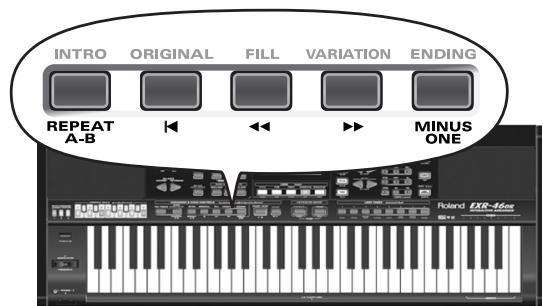 ROLAND EXR-46OR - Fast Forward, Rewind, and Reset - 1