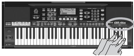 ROLAND EXR-46OR - Jgall gol gol - 3