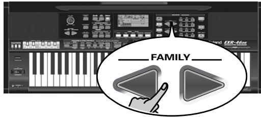 ROLAND EXR-46OR - Removing songs from the Flash memory - 2