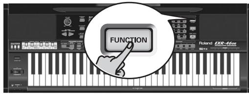 ROLAND EXR-46OR - (ALLJ) - 14