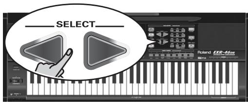 ROLAND EXR-46OR - aLgEg - 3