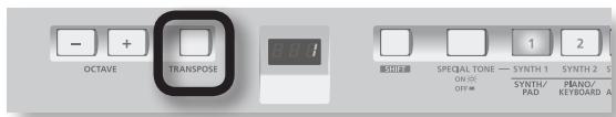 OCTAVE TRANSPOSE SPECIAL TONE — SYNTH 1 ON OFF = SYNTH/ PAD Piano/ KEYBOARD A 1 2 3 4