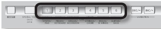 SPECIAL TONE ON ON OFF 1 2 3 4 5 6 SYNTH/PAD PIANO/KEYBOARD ORGAN/TONE/ACCORDION STRINGS/CHORI BRASS/W WINDS GUITAR/BASS DEC/- INC/+ VARIATION