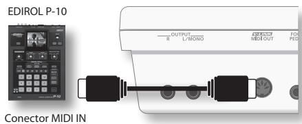 EDIROL P-10 Conector MIDI IN