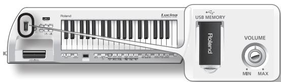Roland Luxina USB MEMORY VOLUME MIN MAX
