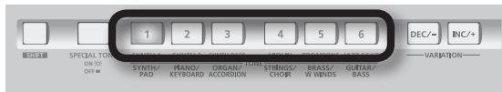 1 2 3 4 5 6 DEC/- INC/+ SPECIAL TONE ON/OFF= SYNTH/ PAD PIANO/ KEYBOARD ORGAN/ ACCORDION STRINGS/ CHOIR BRASS/ W WINDS GUITAR/ BASS VARIATION