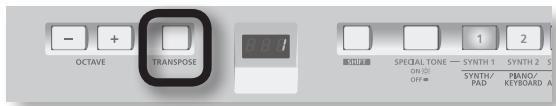 OCTAVE TRANSPOSE SPECIAL TONE — SYNTH 1 ON ON OFF = SYNTH/ PAD PANO/ KEYBOARD A