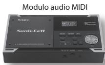 ROLAND LUCINA AX-09 - Connessione del modulo di suono MIDI - 1