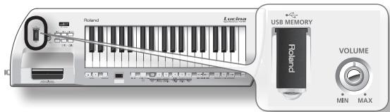 Roland Lucina USB MEMORY VOLUME MIN MAX