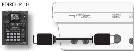 EDIROL P-10 OUTPUT L/MONG AF/REF. MEI OUT FOR FED