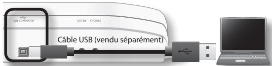 USE COMPUTER EXT IN PHONES Câble USB (vendu séparément)