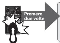 ROLAND RC-3 - Riproduzione loop - 1