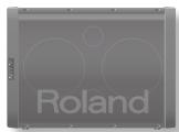 ROLAND BA-55 - Posión horizontal para música - 1
