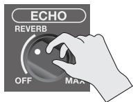ROLAND BA-55 - Hinzufügen von Echo oder Hall zum Klang des Mikrofons - 1