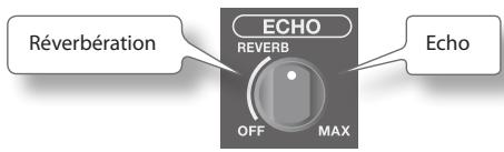 ROLAND BA-55 - Application d'un écho au son du micro - 2