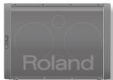 ROLAND BA-55 - Posizionamento orizzontale per la musica - 1