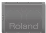 ROLAND BA-55 - Horizontale Aufstellung für Musik - 1