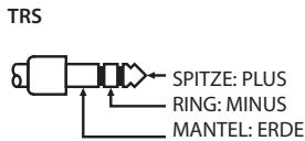ROLAND BA-55 - Verwendeneines kabelgebundenen Mikrofons - 4