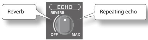 ROLAND BA-55 - Applying Echo to the Mic's Sound - 2
