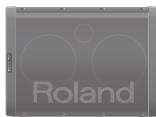 ROLAND BA-55 - Utilisation horizontale pour la musique - 1