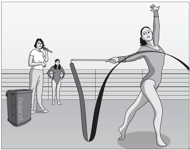 ROLAND BA-55 - Sports instruction - 1