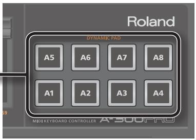 ROLAND A-500PRO-R - Sélectionner une piste - 1