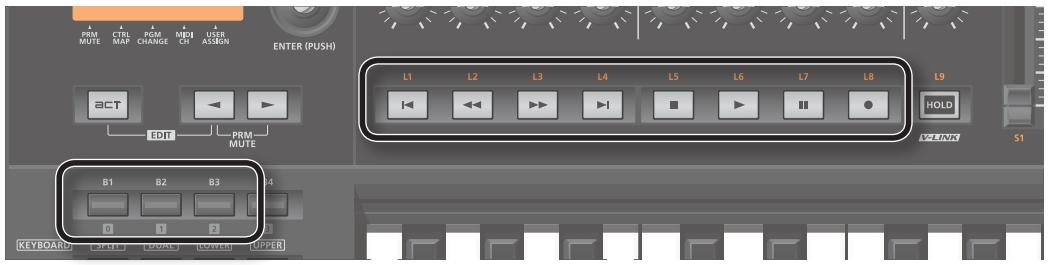 ROLAND A-500PRO-R - Contrôle des paramètres SOLO, MUTE et REC, de la lecture et de l'enregistrement des pistes - 1