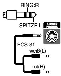 ROLAND CUBE-ST - Buchse STEREO PHONES - 1