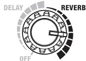 ROLAND CUBE-ST - DELAY/REVERB - 1