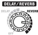 ROLAND CUBE-ST - Bouton delay/reverb - 2