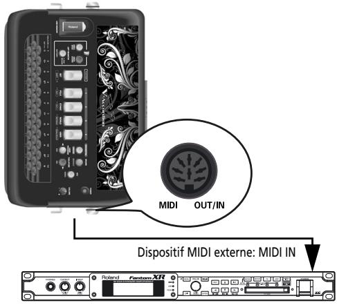 ROLAND FR-18 D RD - Connexion d'un appareil MIDI externe au fr-18 diatonic - 2