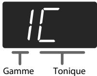 ROLAND HP302-SB - Choix de la gamme (temperament) - 1