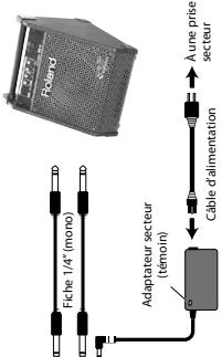 Fiche 1/4" (mono) Adaptateur secteur (témoin) Câble d'alimentation Poland A une prise secteur
