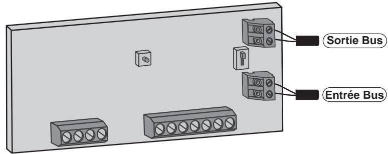 DELTA DORE LECTEUR DE BADGES CLLB - Raccordement - 2