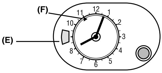 ROSIERES FC 3161 IN - REGOLAZIONE ORA - 2