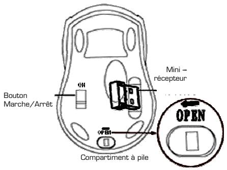 ESSENTIELB POCKETMULO - Configuration minimale requise - 1