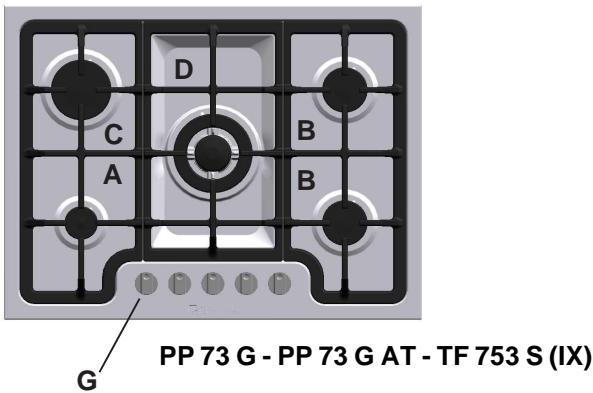 SCHOLTES PPF 73 G - Adaptation aux différents types de gaz (pour la france et la belgique) - 3