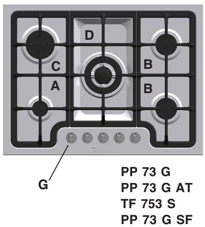 SCHOLTES PP 73 G SF - Merkmale der Brenner und Dusen - 1
