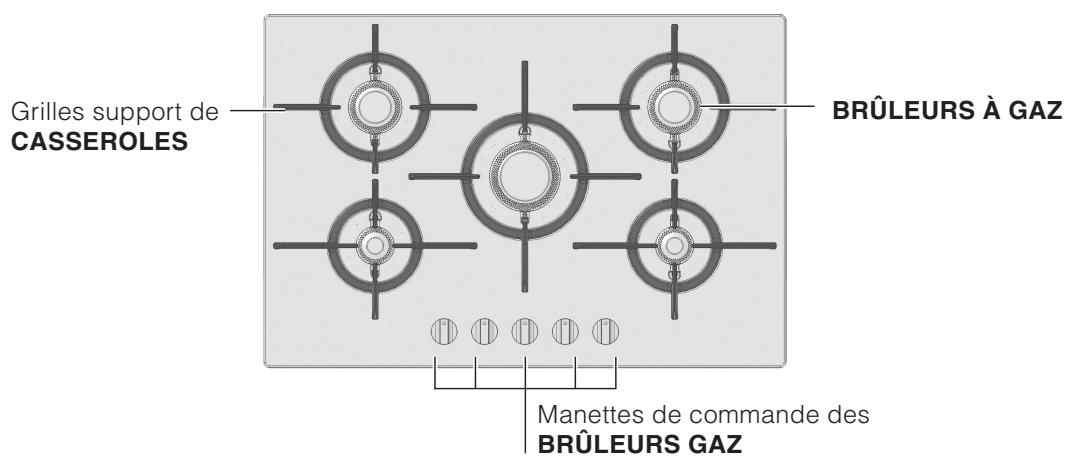 SCHOLTES TG 644 P GH - Vue d'ensemble - 2