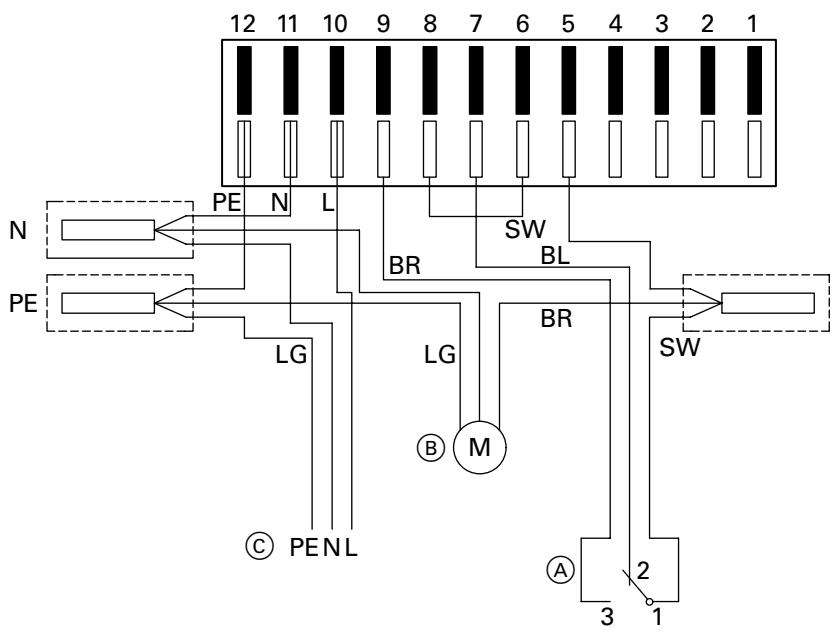 VIESSMANN VITOGAS 100 - Scheme electrique du boitier de contrôle de bruleur - 1