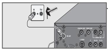 GRUNDIG SCENOS - Raccordement des antennes - 1