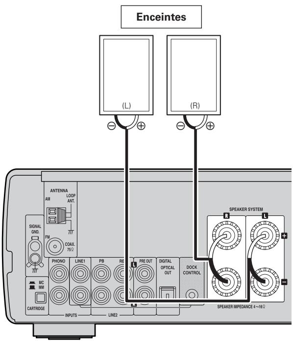 DENON CONCEPT CX1 - Connexion des enceintes - 1