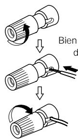 DENON D-F103HR - Connexion des câbles d'enceinte - 1