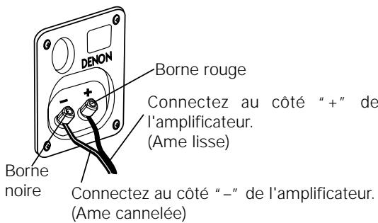 DENON S-M73 - Connexions - 1