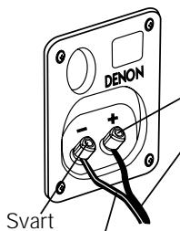 DENON S-M73 - Anslutning - 1
