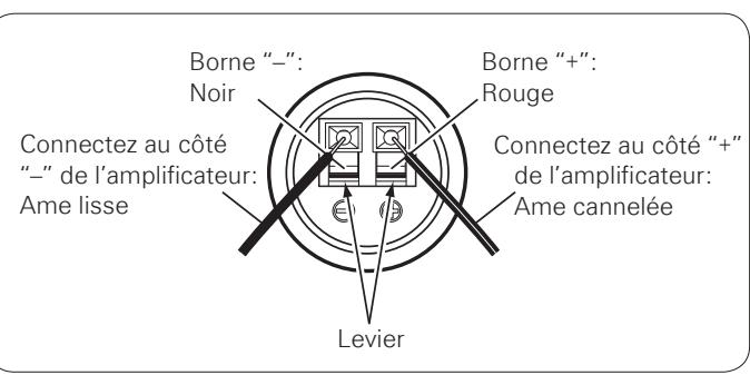 DENON SC-N7 - Connexion des câbles d'enceinte - 1