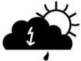 LA CROSSE TECHNOLOGY WD4203 - PICTOGRAMMES DE PREVISION METEO - 13